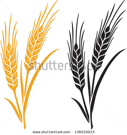 443x470 barley clipart