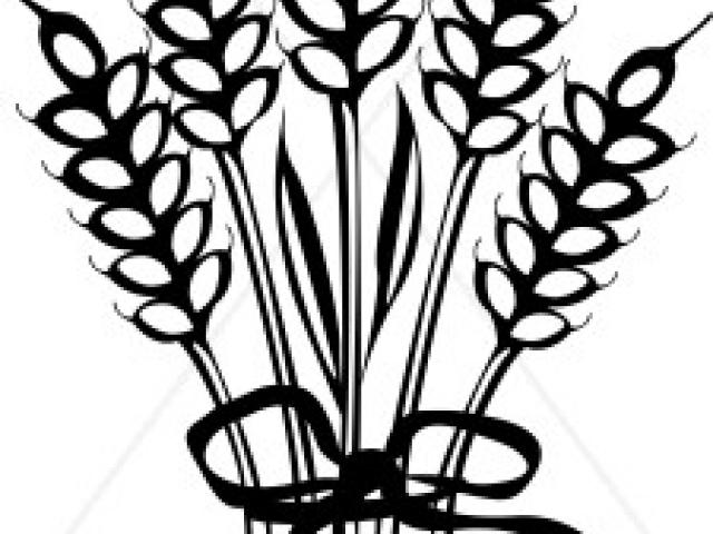 640x480 Wheat Clipart Wheat Stalk