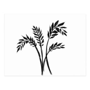 307x307 Wheat Stalk Gifts Gift Ideas Zazzle Uk