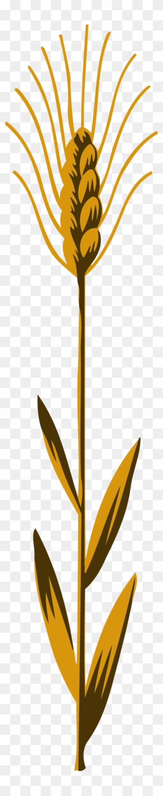 320x1560 Wheat Vector