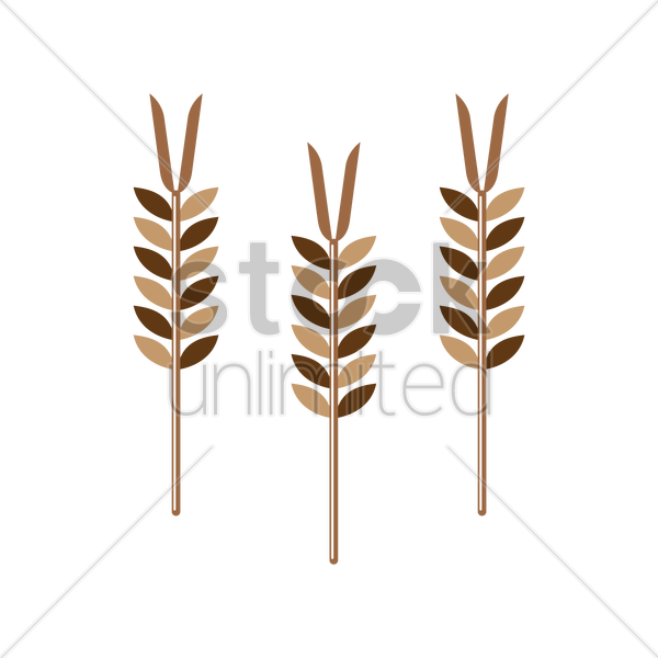 600x600 Cereal Clipart Wheat Stalk For Free Download And Use