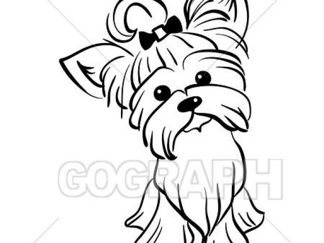 640x480 free terrier clipart wheaten terrier, download free clip art