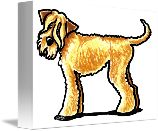 650x538 soft coated wheaten terrier