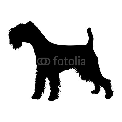 400x400 soft coated wheaten terrier silhouette buy photos ap images