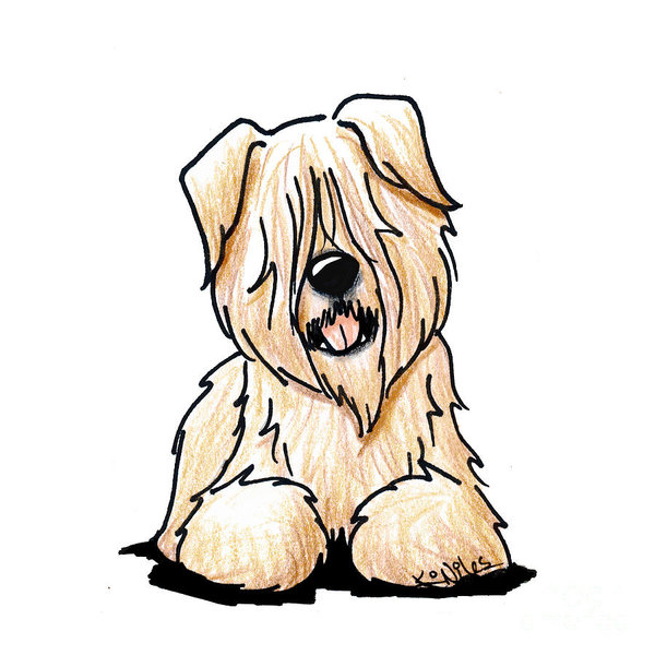 600x600 Wheaten Smile Poster