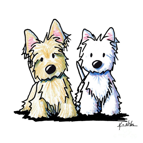 600x600 Wheaten Terrier Drawings Fine Art America