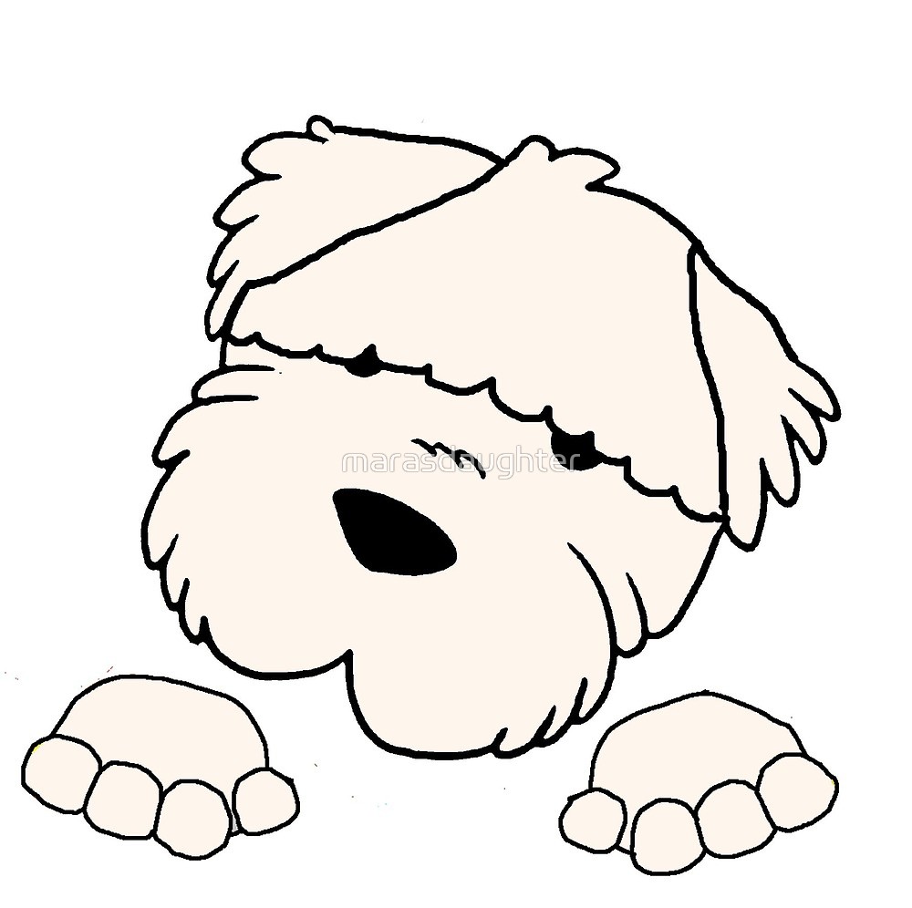 1000x996 Soft Coated Wheaten Terrier Peeking