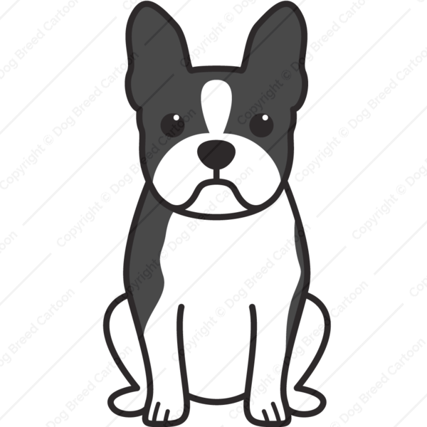 600x600 Bulldog, Dog, Nose, Transparent Png Image Clipart Free Download