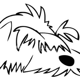 256x256 Clover T Wheaten