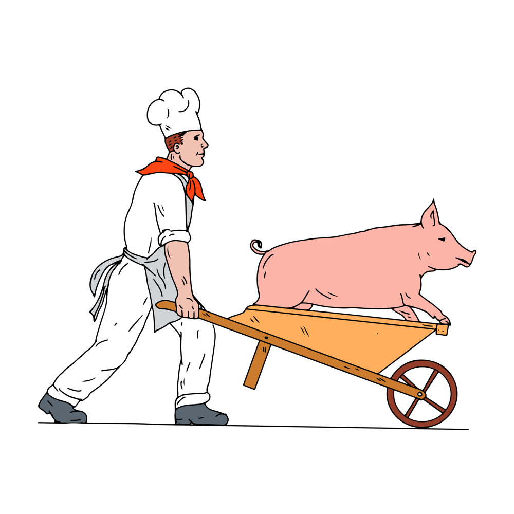 1000x1000 Chef Pushing Wheelbarrow And Pig Color Drawing On Behance