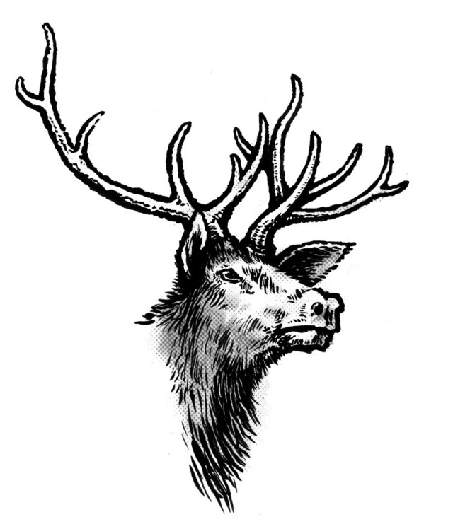 640x748 Insideramprsquos Guide To Olympic National Park Where The Wild