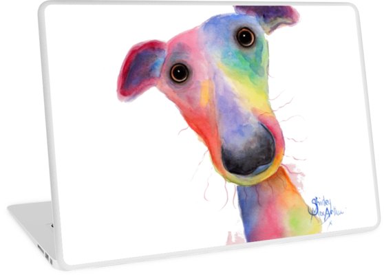 558x400 whippet greyhound dog 'hank'