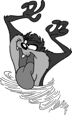 300x479 Walls Are Up, Tiles Going In Anatomy Design