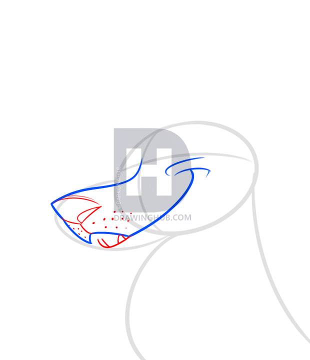 620x720 How To Draw A Wolf For Christmas, Step