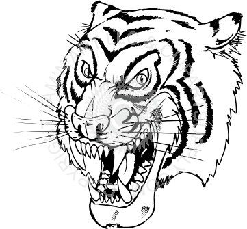 361x335 Collection Of Free Drawing Hand Tiger Download On Ui Ex