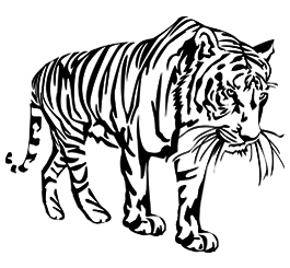 265x245 Drawing Tiger Free Download On Unixtitan