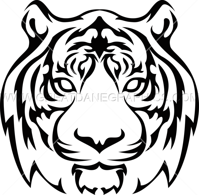 825x808 Tigers Drawing Head, Picture