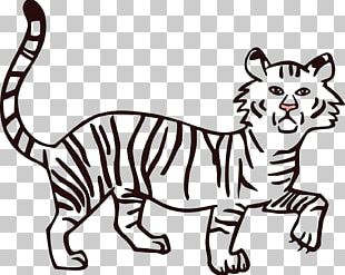 310x247 Bengal Tiger Lion White Tiger Png, Clipart, Animal, Animals