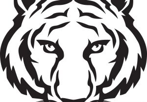 300x210 Black And White Tiger Drawings White Bengal Tiger Drawing