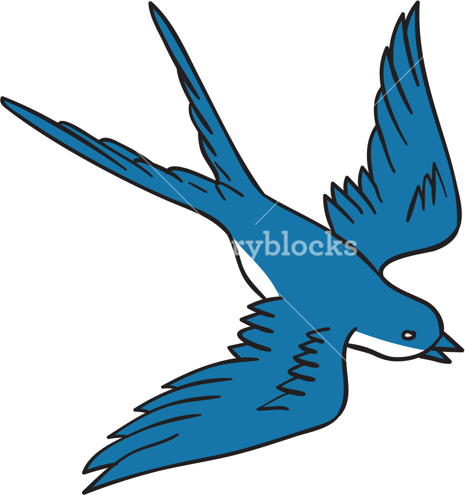 939x1000 Drawing Sketch Style Illustration Of A Swallow, A Fast Flying