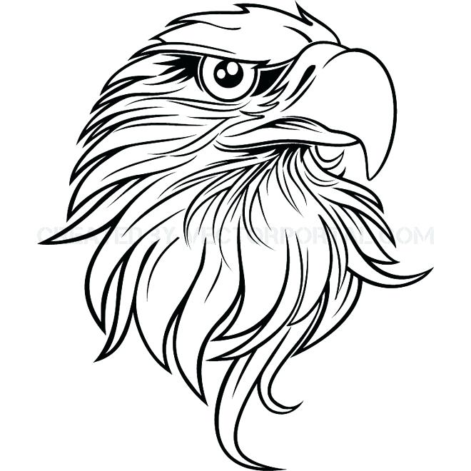 660x660 Bird Drawing Outline