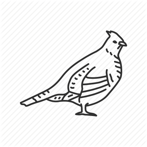 512x512 Bird, Drawing, White, Transparent Png Image Clipart Free Download