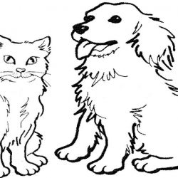 250x250 Cat Drawings Building And Adorable Chalk Couple Sketches Carmi