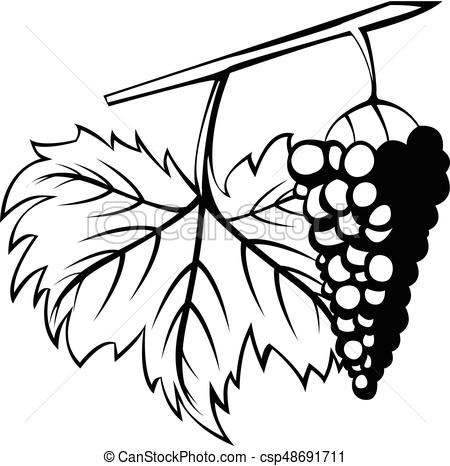 450x466 Hand Drawn Bunch Of Grapes In Chalk, Painted Icon Isolated