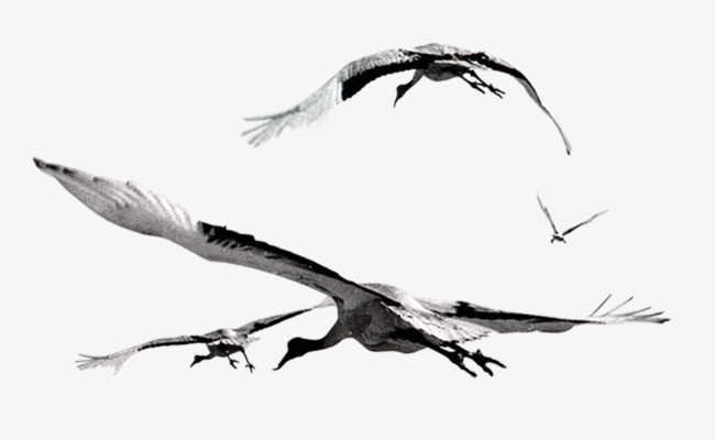 650x400 Flying Crane, Product Kind, White Crane, Animal Png Clipart Image