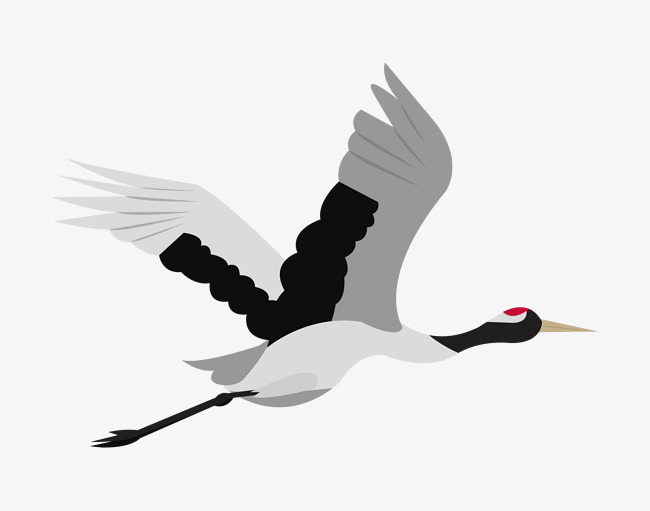 650x511 Hand Drawn Flying White Crane Illustration Image