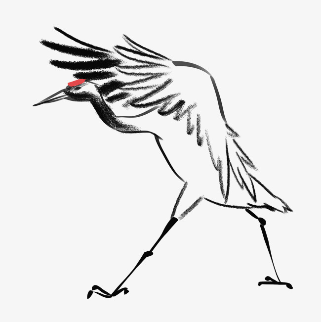 650x651 Hand Drawn Ink Black White Illustration Spread Wings Crane Image