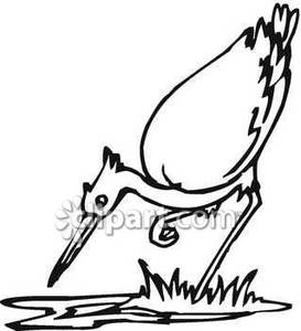 273x300 Black And White Crane Hunting Fish