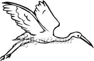 300x195 Black And White Crane In Flight