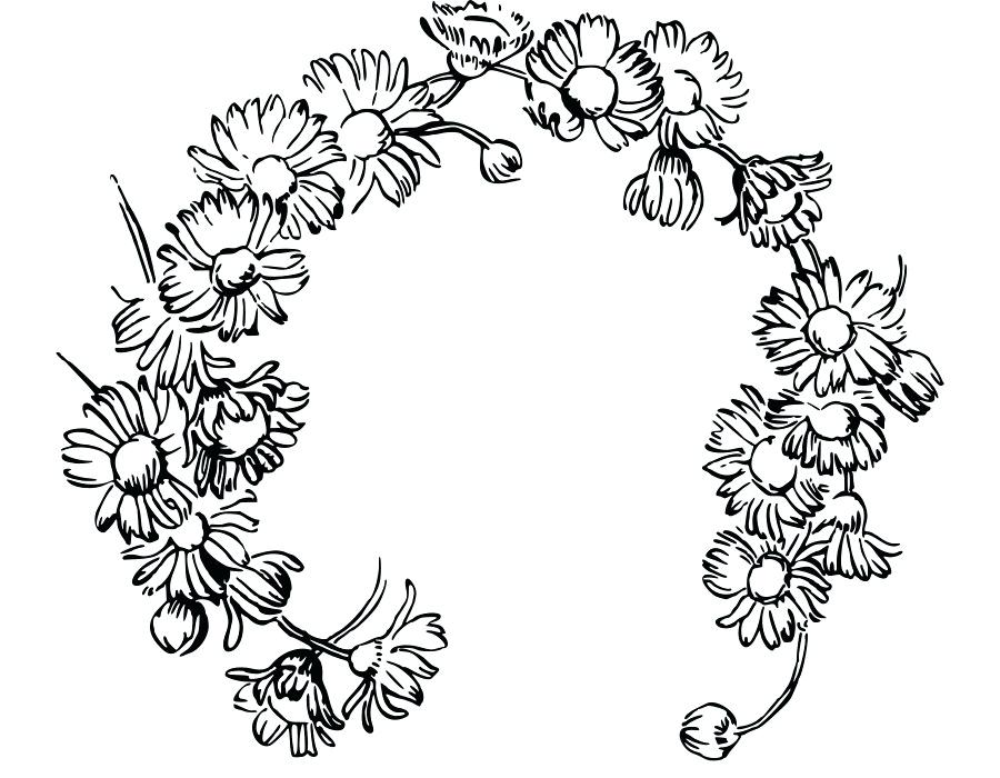 900x700 daisy drawing daisy ii daisy drawing simple