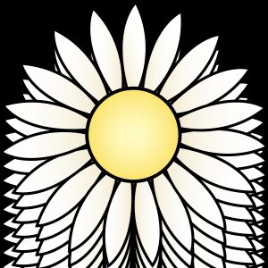 300x300 Daisy Drawing New White Daisies Drawing Tattoo