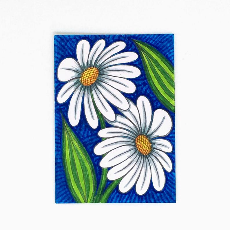 794x794 Original Aceo Drawing Of White Daisy Flowers White Daisies Etsy