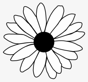 300x281 White Daisy Png, Transparent White Daisy Png Image Free Download