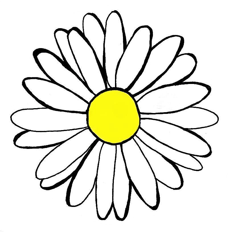 815x815 Daisy Drawing