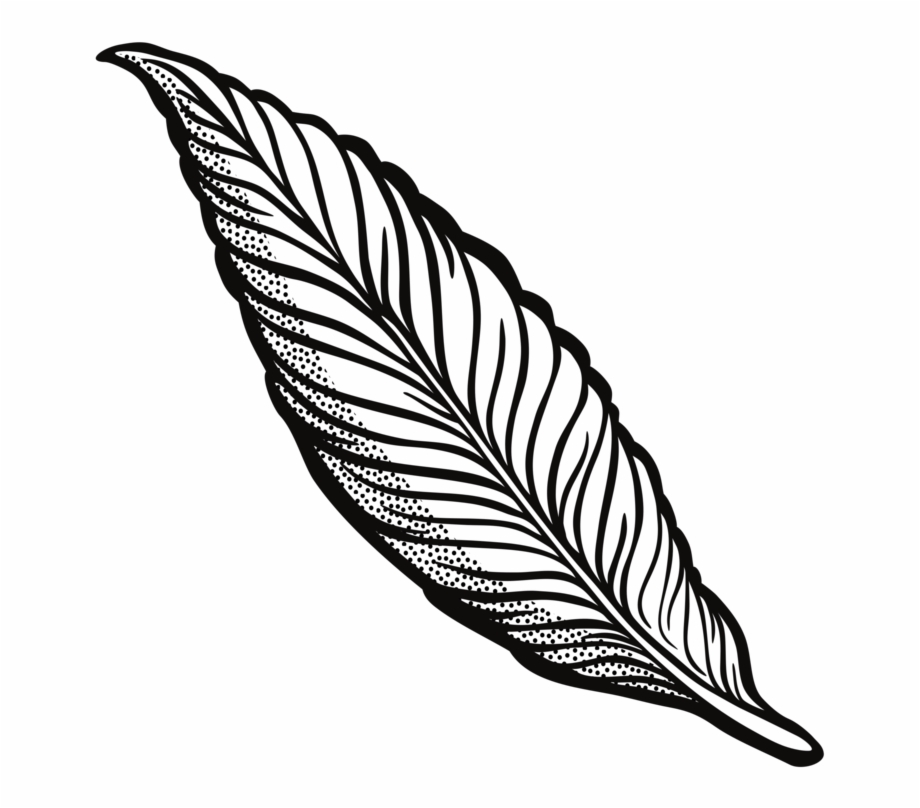 920x808 Drawing Feather Pen