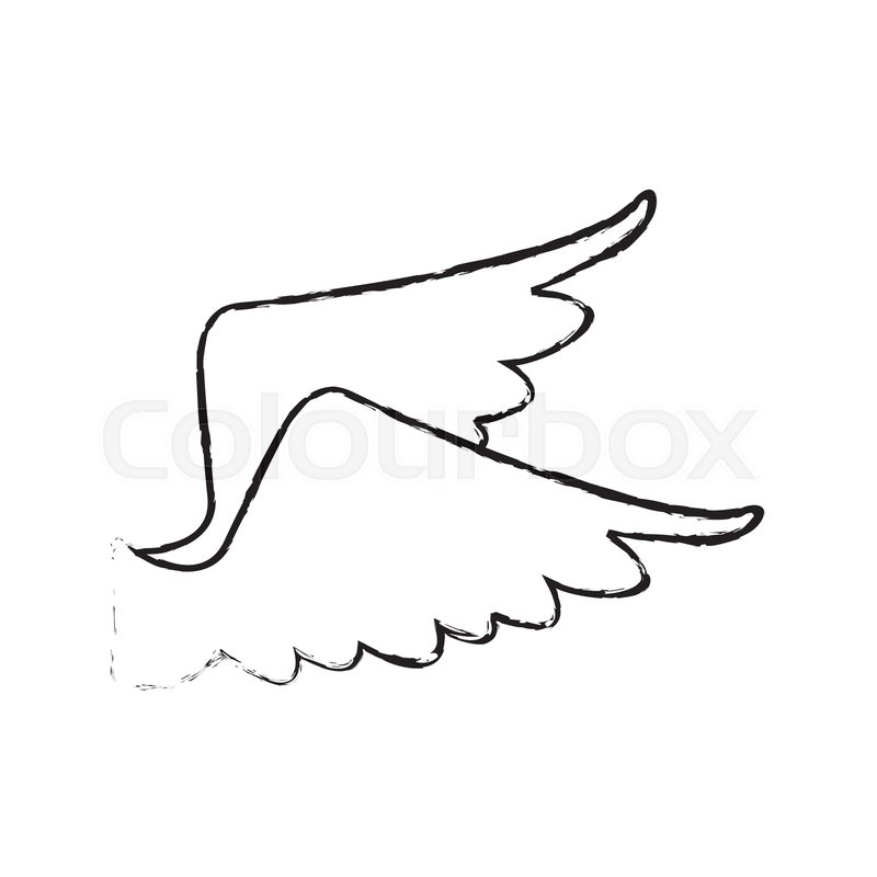 800x800 Drawing Wings Feather Bird Angel Icon Stock Vector Colourbox