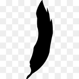 260x260 Feather Silhouette Png