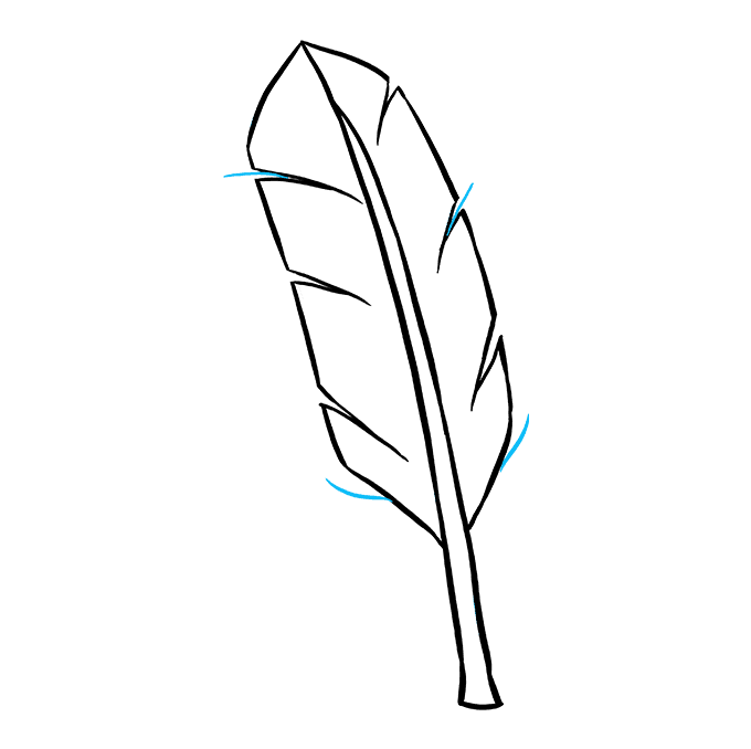 680x678 How To Draw A Feather