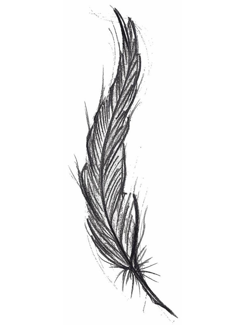 794x1059 Quill Print Black And White Feather Illustration Etsy