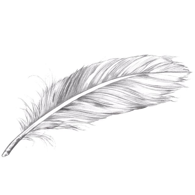 640x640 Tattoo That I Am Getting May Tattoo Feather Tattoos
