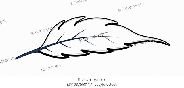 640x306 White Feather Calligraphic Stock Photos And Images Age Fotostock