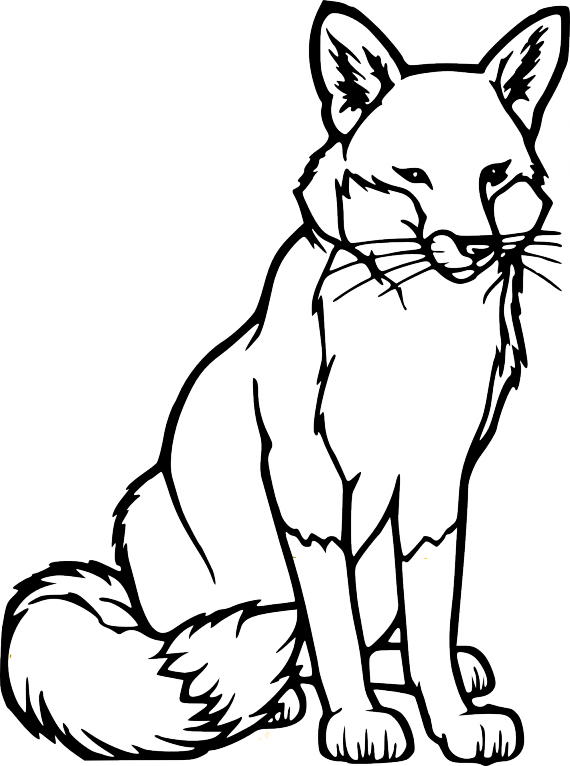 570x766 Fox Drawing Black And White, Picture