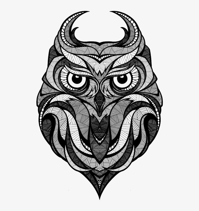 820x870 Owl Arctic Fox Drawing Art