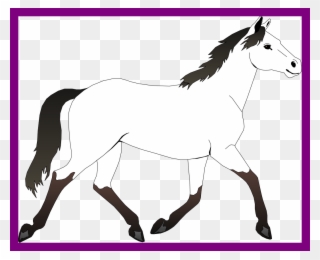 320x260 Drawing Clipart Horse Drawing