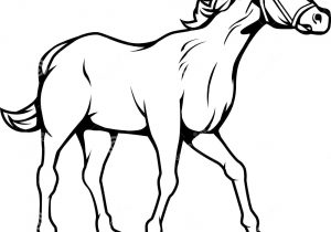 300x210 Horse Black And White Drawing Black And White Drawing Of A Horse