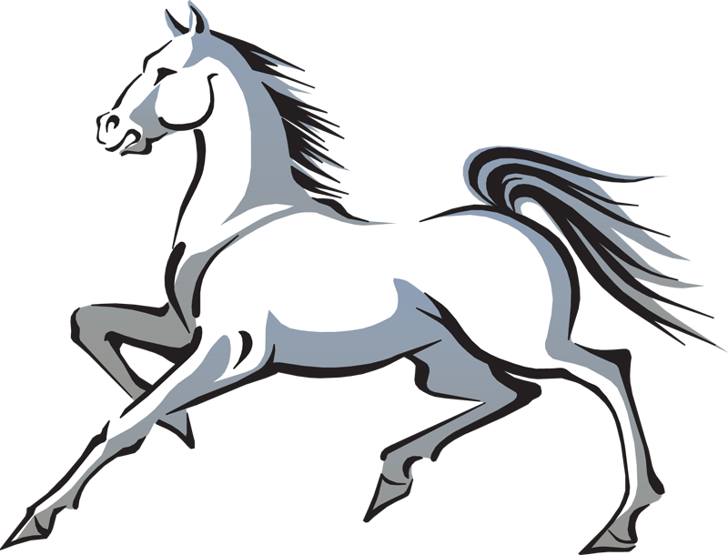 800x610 Horse Png Horse Clipart Transparet